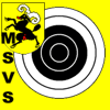 msvs.gif